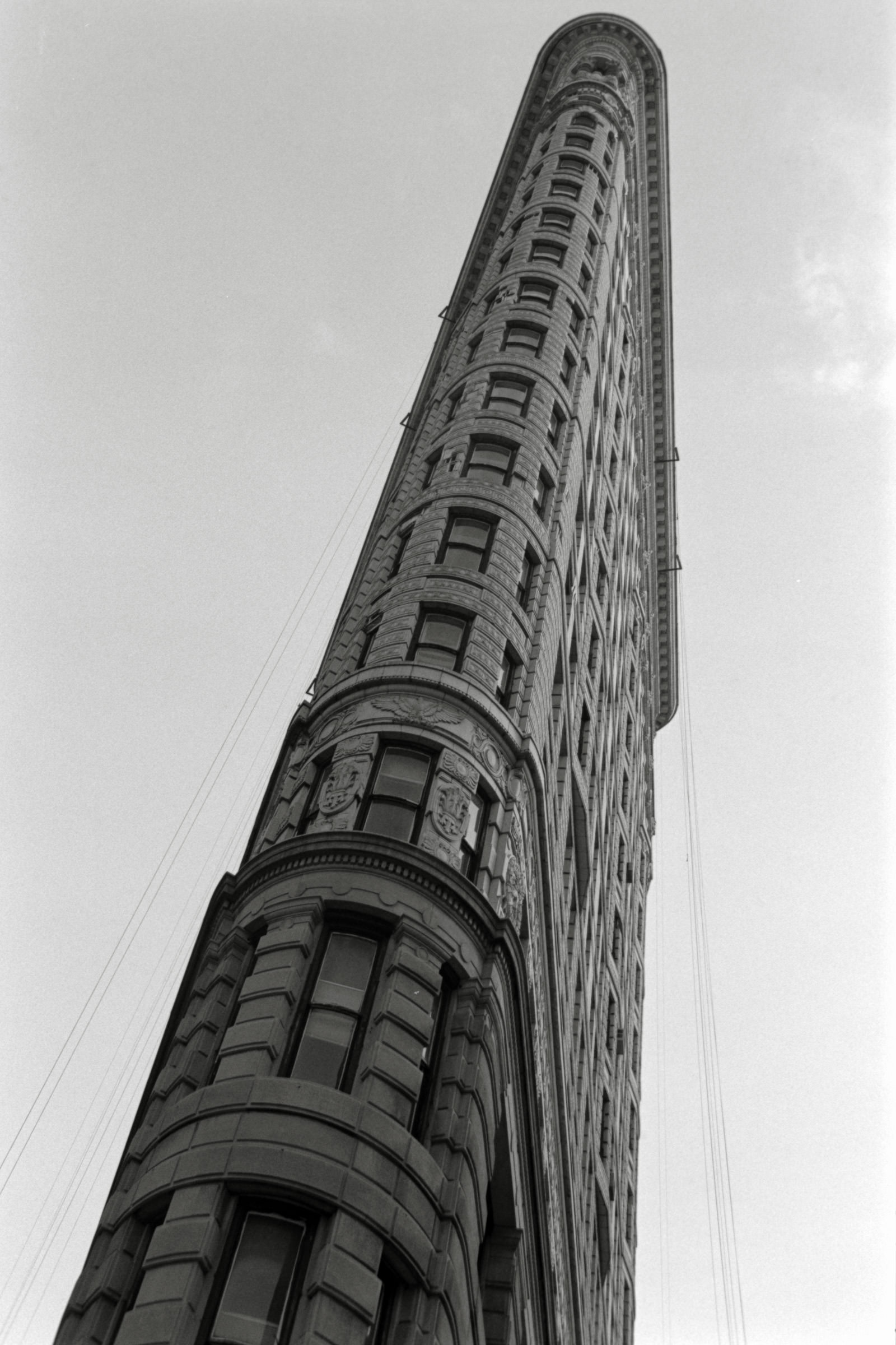 AHP F1995 04 008 sc240817 img26 NLP